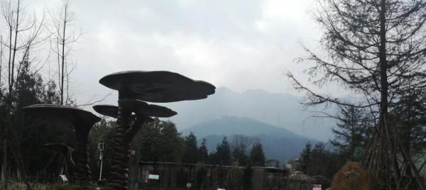 民間故事:乞丐拿著黑碗乞討,施主卻問:“你手裡拿的是什麼?” 民間故事:乞丐拿著黑碗乞討,施主卻問:“你手裡拿的是什麼?”