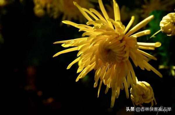 今天不講中醫，給大家分享一個小故事，聽後可能會改變你的生活