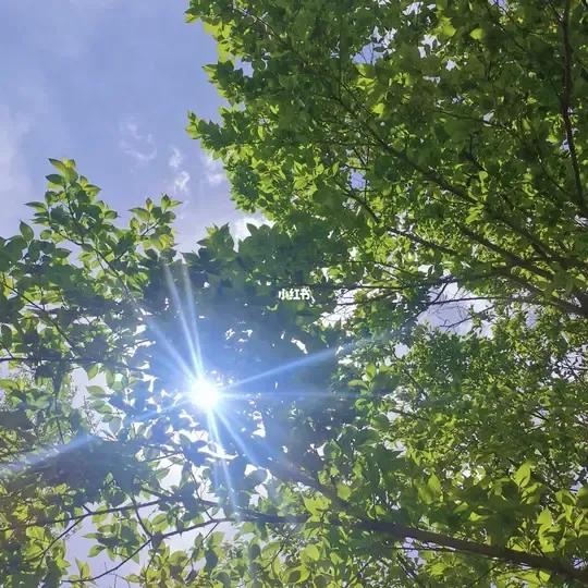 女性優雅的談吐是最吸引人的，怎樣讓自己的談吐更為優雅呢？