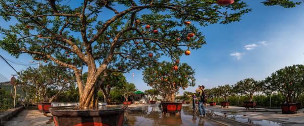 山東冷知識:推薦山東這20個世界之最和中國之最,你還知道哪些? 山東冷知識:推薦山東這20個世界之最和中國之最,你還知道哪些?