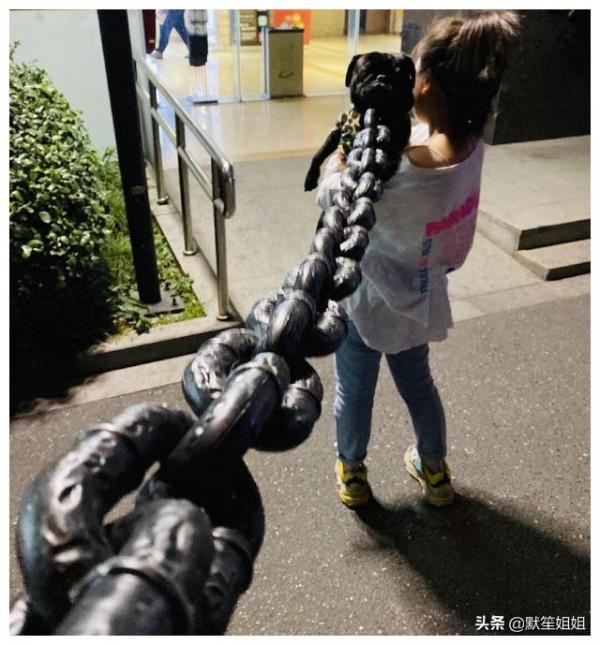 主人交代好友幫買條狗鏈，一再強調結實點，收到後竟發現形似鐵鏈