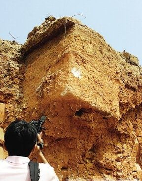 2008年，廣西出土傳說中的七星巨棺，棺內還有&quot;龍鬚&quot;纏繞