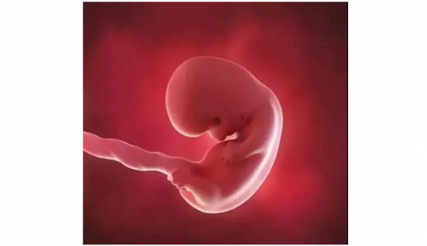 如何推算預產期？