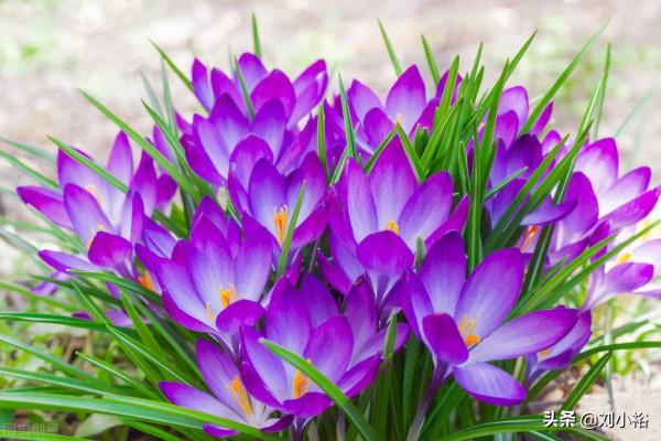 換心女孩：不由自己的人生，是不幸，也是萬幸