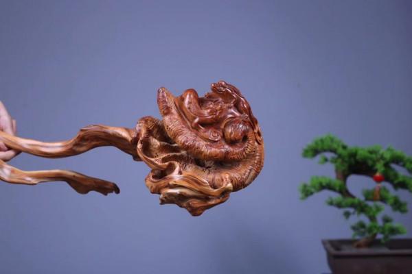 枯木一截，如降龍盤亙！這大自然，造化太神奇了