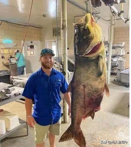 長江“十年禁漁”，十年後魚類能長多大？能繁殖多少？