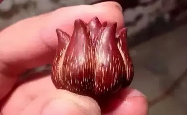 這三種文玩水果，能吃能玩兒太有趣