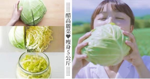 日本網傳“醋高麗菜減肥餐”,營養又減脂,日本女生實測月瘦2kg 日本網傳“醋高麗菜減肥餐”,營養又減脂,日本女生實測月瘦2kg