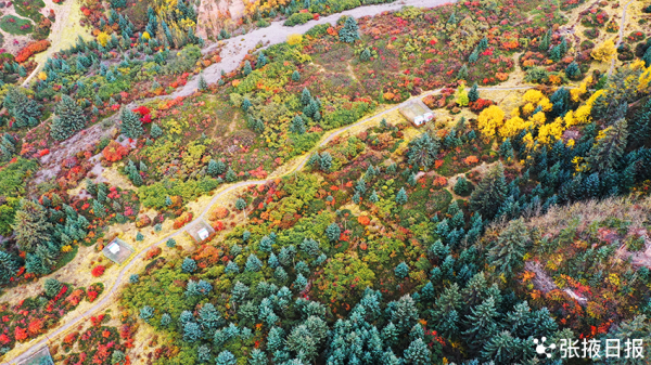 秋染祁連山，馬蹄寺景區五彩斑斕美不勝收