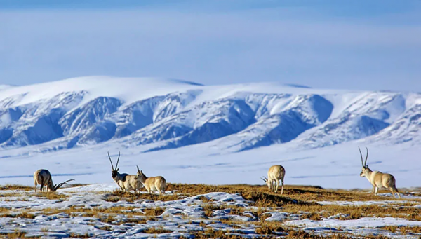 遇間旅遊 | 更新旅遊打卡地！領略大中國國家公園~我在三亞等你