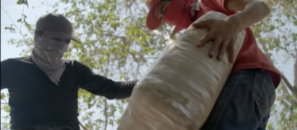 導演冒著生命危險，拍下墨西哥毒販運毒全過程，果然驚險刺激