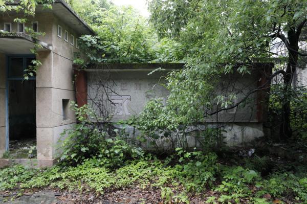 三線系列之35：湖北蒲圻紡織總廠，第3110工廠，蒲紡集團