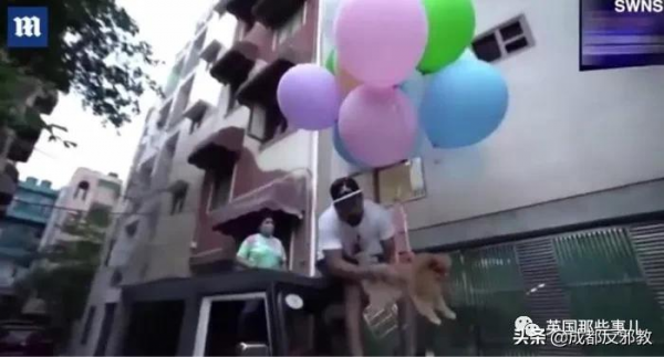 印度網紅給狗綁氫氣球讓它飛上天，虐待動物被逮捕！