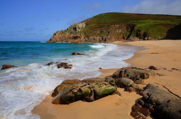 英國致命水母被衝上沙灘,如紫色大氣球,專家警告:遊客請避開 英國致命水母被衝上沙灘,如紫色大氣球,專家警告:遊客請避開