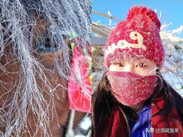 國內適合冬季冰雪旅行的五個目的地｜附詳盡攻略｜你喜歡哪個