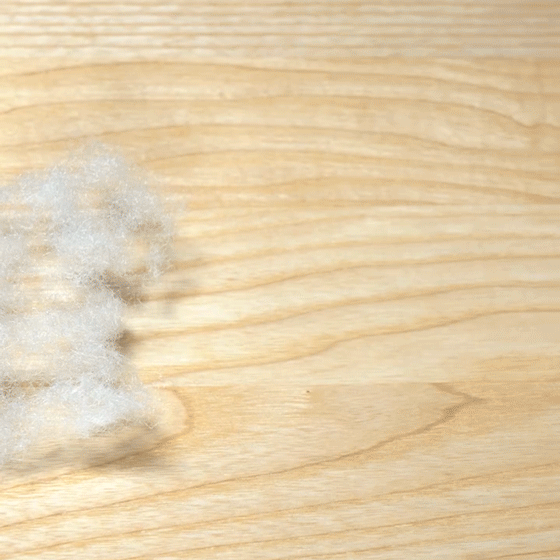 房屋幾天不打掃,總會出現很多“毛毛”,這是怎麼回事? 房屋幾天不打掃,總會出現很多“毛毛”,這是怎麼回事?