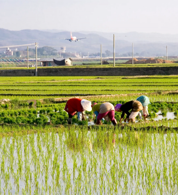 雲南深處,快活福地|地球知識局 雲南深處,快活福地|地球知識局