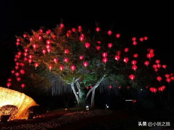 冬夜，想說愛你不容易