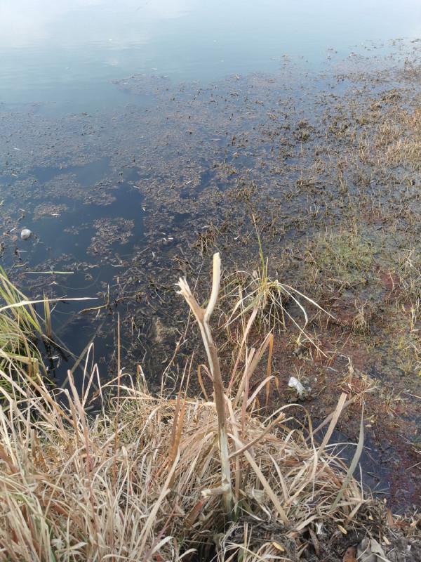 「DIY」讓傳統釣變得輕鬆，解放你的雙手