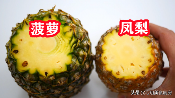 明明長得一個模樣，為啥一個叫鳳梨，一個叫菠蘿？原來差別在這兒