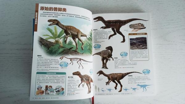 一本關於恐龍的百科書,讓孩子愛上恐龍的世界 一本關於恐龍的百科書,讓孩子愛上恐龍的世界
