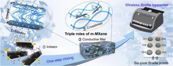 以多層MXene為引發、交聯劑和導電填料,一步設計高彈水凝膠電子 以多層MXene為引發、交聯劑和導電填料,一步設計高彈水凝膠電子