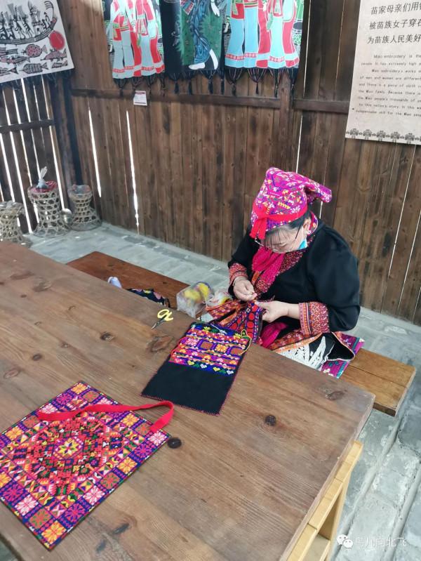 行走海南（8）在海南，看到了什麼 之 椰田古寨的背後