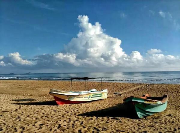 斯里蘭卡--回味無窮的青橄欖