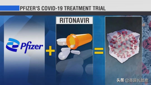 輝瑞公佈口服新冠藥：有效率89%！科學家發現新冠高風險基因訊號