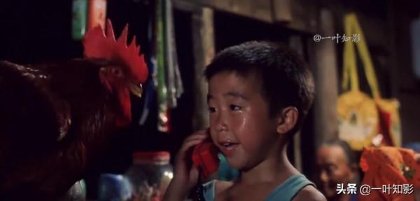 6歲男孩竟然能把雞練得比狗還聽話,能飛天,能治病,催淚國產片 6歲男孩竟然能把雞練得比狗還聽話,能飛天,能治病,催淚國產片