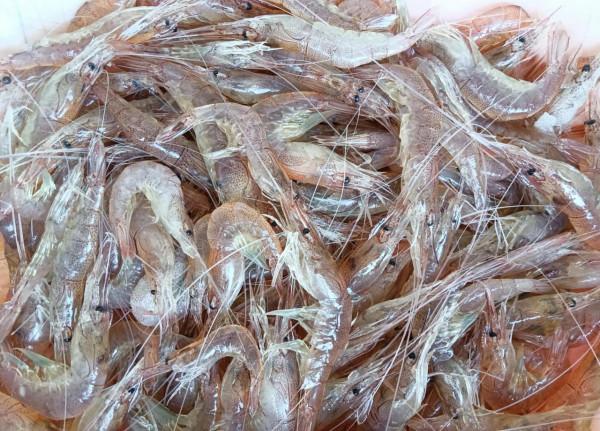 酥炸蝦餅,潮汕的經典小吃 酥炸蝦餅,潮汕的經典小吃