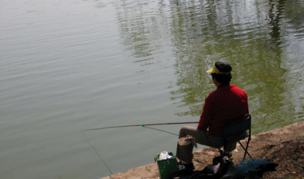 冬季做到六要點，大板鯽釣到手軟