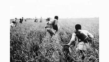 游擊戰 毛澤東的戰爭藝術