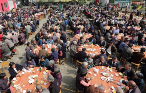 農村“新四害”，村村有，家家愁！都有哪些危害？