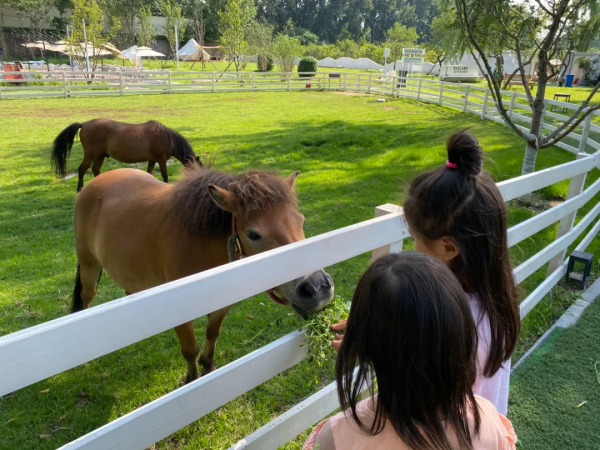 驚豔！海淀這個藝術園區繁花似海，還有戶外音樂營地、親子牧場......滿滿文藝範兒！