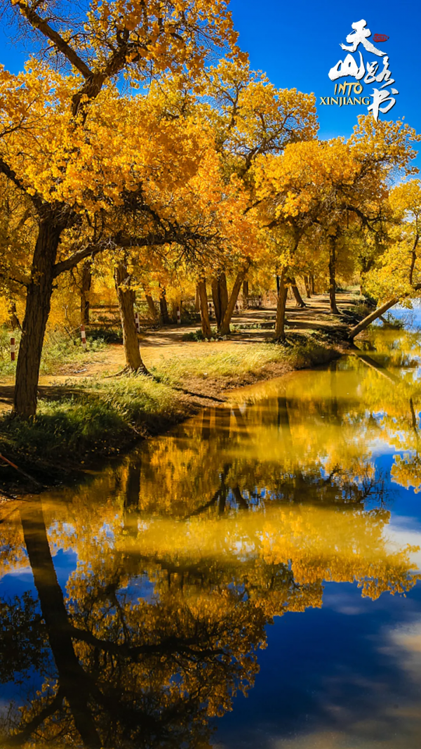 胡楊金、豐收紅、秋實橙……秋日新疆的這些色號,你pick了嗎? 胡楊金、豐收紅、秋實橙……秋日新疆的這些色號,你pick了嗎?