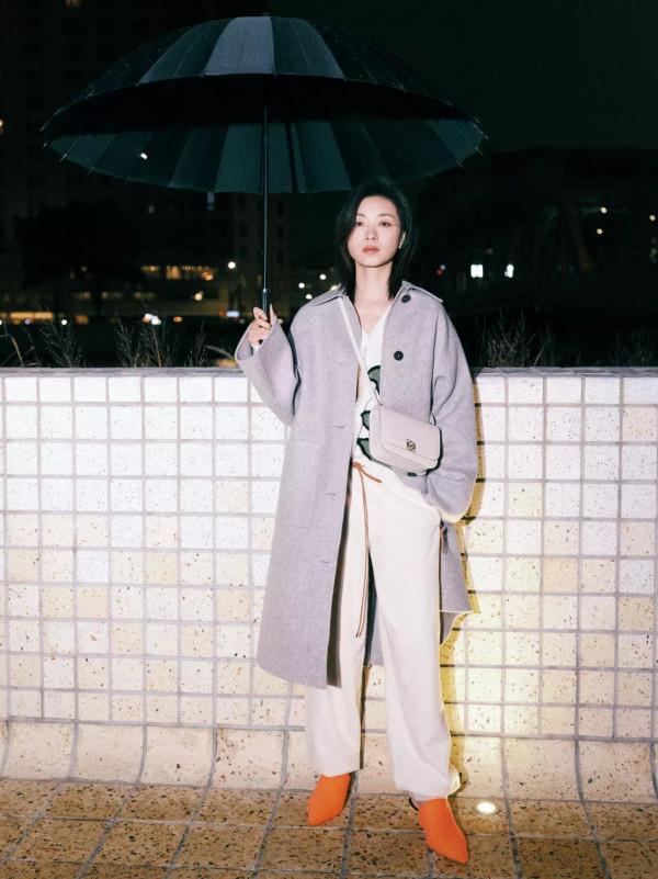 羅意威LOEWEgoya 手袋欣賞