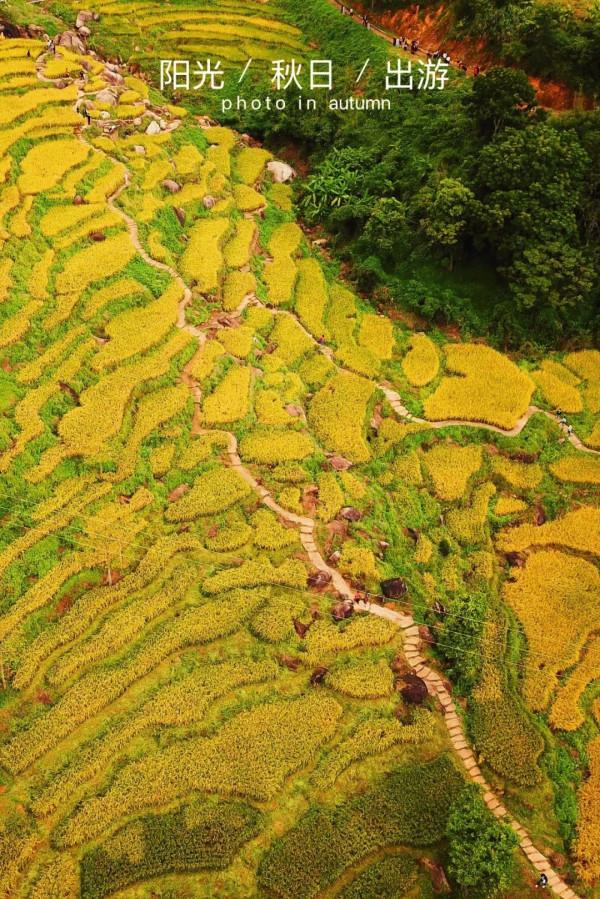 離深圳一小時，四個女人自駕看海之旅，這幾個小眾免費景點超讚