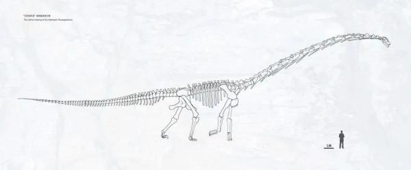 76天就換次牙，竟然是為了吃吃吃