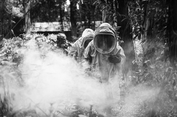 依法治訓，提升實戰化訓練水平