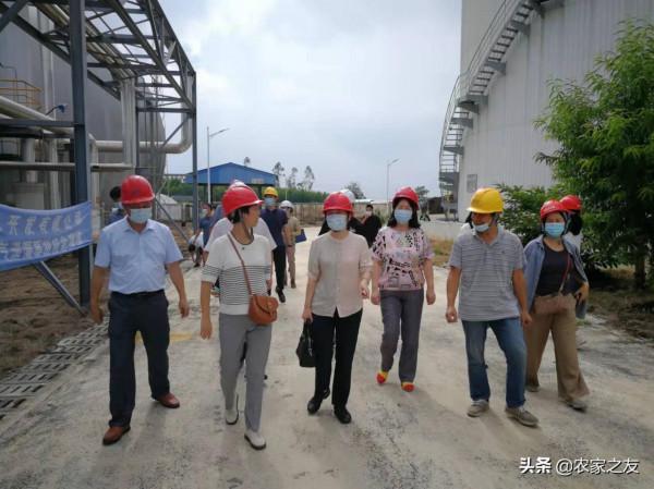 農業農村部生態總站等多部門專家為廣西沼氣建設調研“把脈”