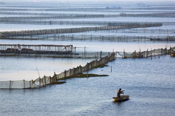 中秋江蘇各地大閘蟹行情如何？“蟹老闆”告訴你什麼時候的螃蟹最好吃