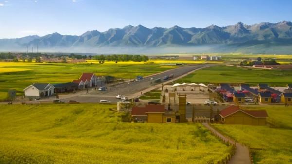 從新疆走出來的尼格買提,在人才濟濟的央視,是如何成為臺柱的? 從新疆走出來的尼格買提,在人才濟濟的央視,是如何成為臺柱的?