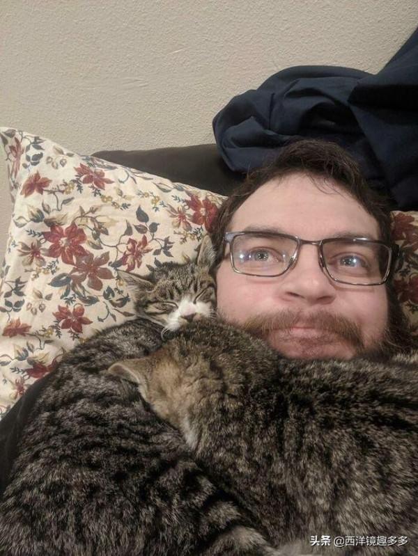 看了這些照片,你可得再要一隻貓了 看了這些照片,你可得再要一隻貓了