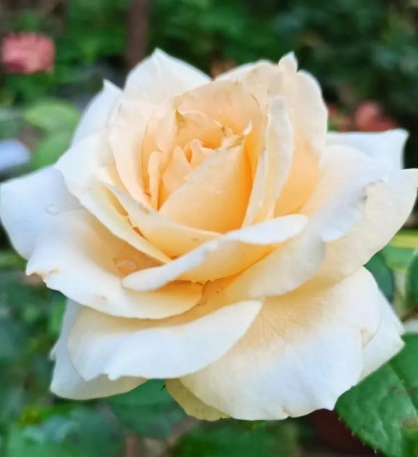 堅持運動是給自己最好的保養品