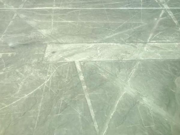 “巨貓像”現秘魯沙漠,距今已有2000年,是誰創作的?有何作用? “巨貓像”現秘魯沙漠,距今已有2000年,是誰創作的?有何作用?