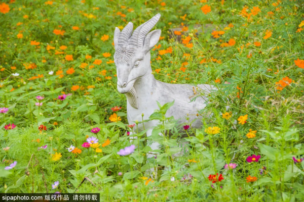 免門票！森林公園裡藏著個“小內蒙古”，還免費停車~