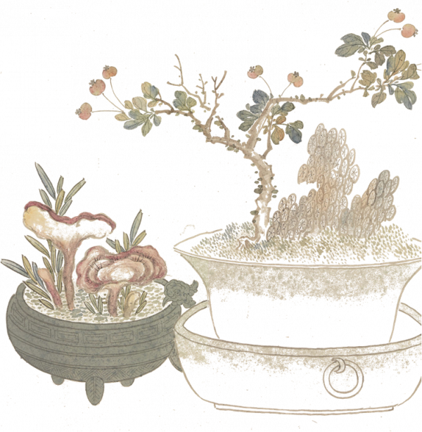 二十四節氣，一年說到頭