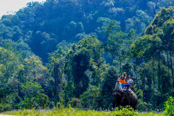 全球最美公路在中國！10065公里世界級大道，​從雪域高原到海洋