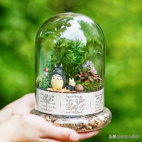 把大自然裝進瓶子裡，種在瓶子裡的微景觀究竟有多美？